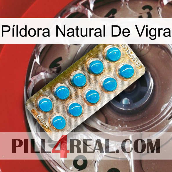 Píldora Natural De Vigra new09.jpg